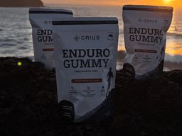 Three Enduro Gummy pouches lined up on coastal rocks at sunrise